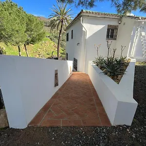 https://el-bufon-de-la-corte.es-andalucia.com