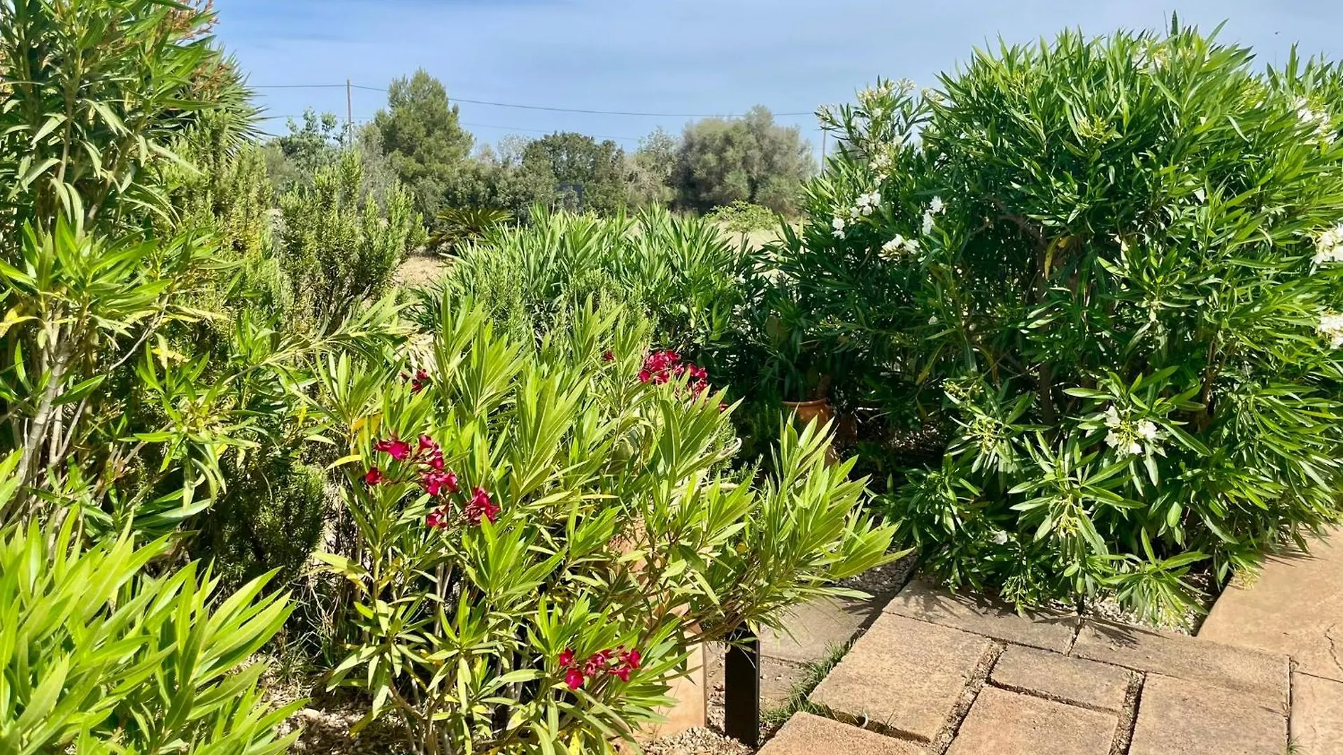Finca Can Alba Llucmajor  0*, Llucmajor (Mallorca)